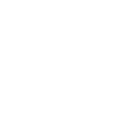 Bike Wheel Icon
