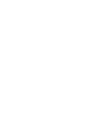 Speed Icon